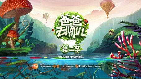 保灵孕宝,无视爸爸去哪儿?