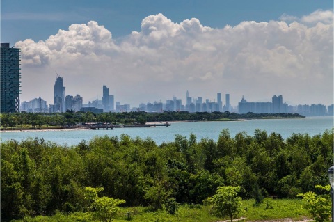 SWA集团因深圳湾城市设计荣获国家一等奖这