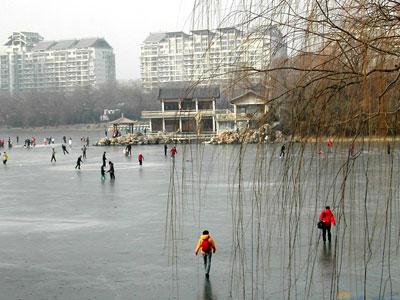 冬日好去处 带宝宝去大公园冰场玩吧(组图)